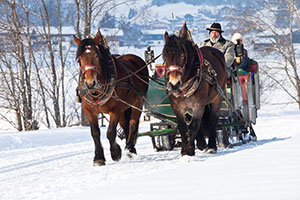 Fahrt mit Pferdeschlitten
